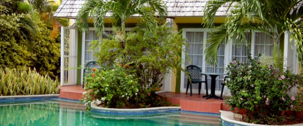 Coco Palm 